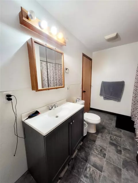 Bath - 307 E Brg, Lyons, MI 48851 photo 7 of 8