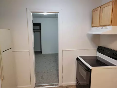 Other - 307 E Brg, Lyons, MI 48851 photo 4 of 6