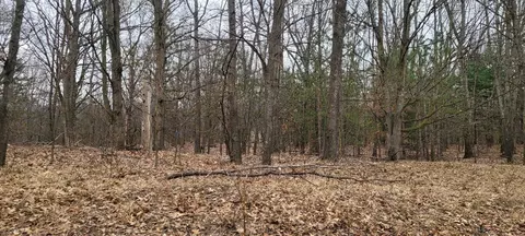 300 N 56th, Mears, MI 49436 photo 15