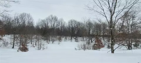 300 N 56th, Mears, MI 49436 photo 43