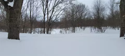 300 N 56th, Mears, MI 49436 photo 36