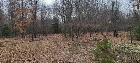 300 N 56th, Mears, MI 49436 photo 12