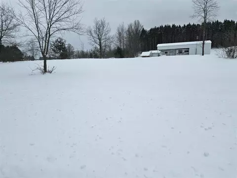 0 E L E 14 # V, Manton, MI 49663 photo 3