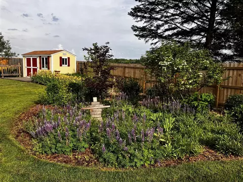 Exterior - 635 Forstrom, Lowell, MI 49331 photo 6 of 7