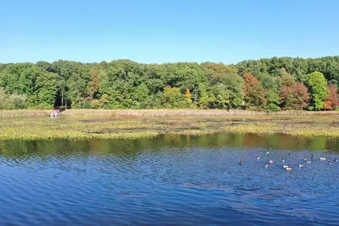50 Th Vacant Lake Land 1, Grand Junction, MI 49056