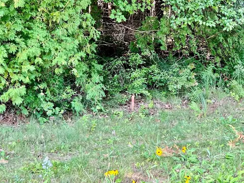 3978 S Us 23, Update, MI 48738 photo 2