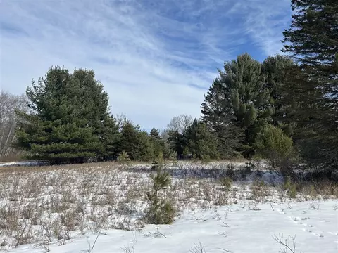 11548 Oak Rdg # 792, Canadian Lakes, MI 49346