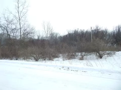 17105 White, Bailey, MI 49303 photo 3