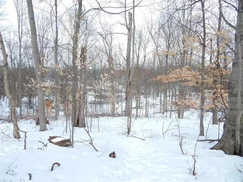 17105 White, Bailey, MI 49303 photo 10