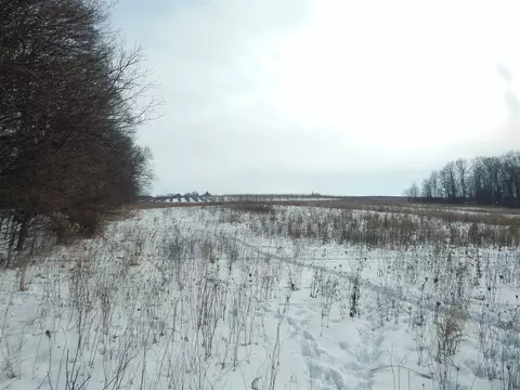 17105 White, Bailey, MI 49303 photo 13