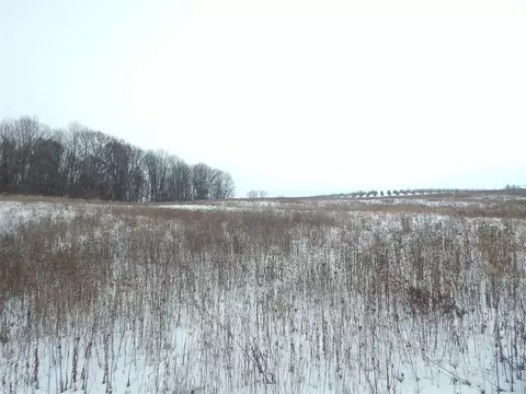 17105 White, Bailey, MI 49303 photo 6