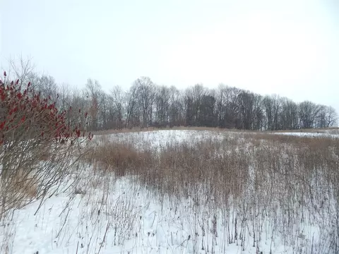 17105 White, Bailey, MI 49303 photo 7