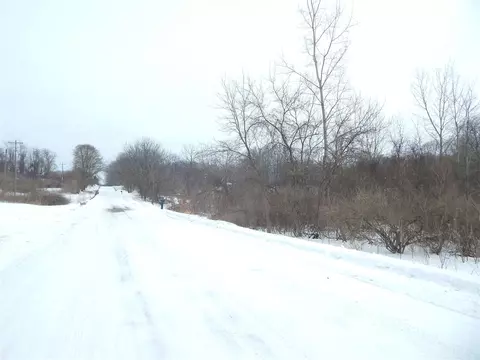 17105 White, Bailey, MI 49303 photo 4