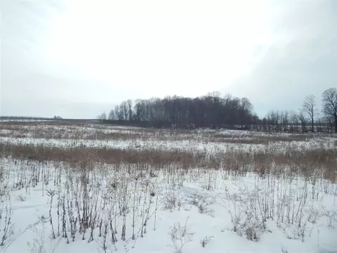 17105 White, Bailey, MI 49303 photo 8