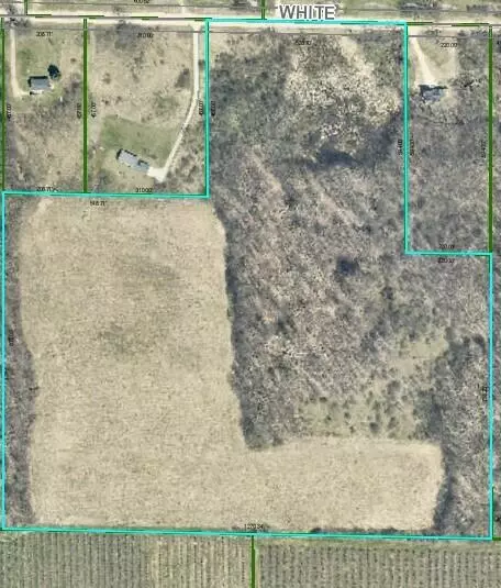 17105 White, Bailey, MI 49303 photo 2