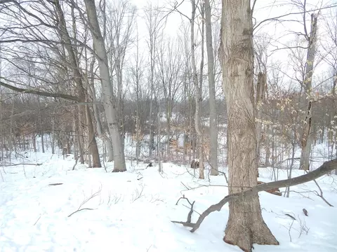 17105 White, Bailey, MI 49303 photo 9