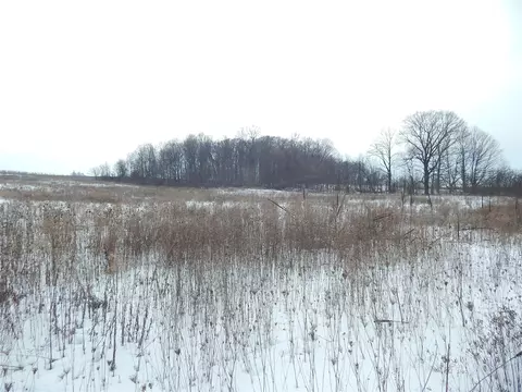 17105 White, Bailey, MI 49303 photo 5