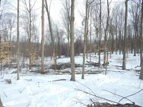 17105 White, Bailey, MI 49303 photo 12
