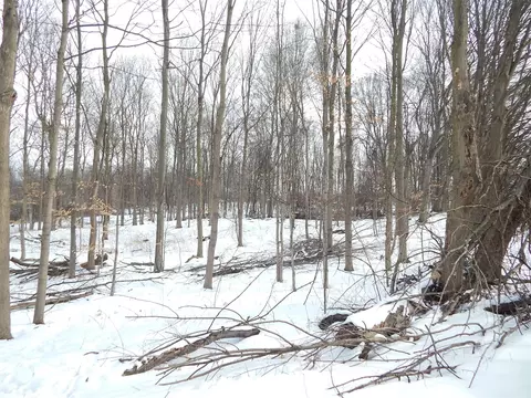 17105 White, Bailey, MI 49303 photo 11