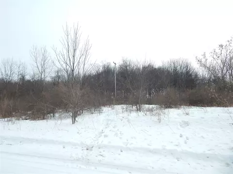 17105 White, Bailey, MI 49303