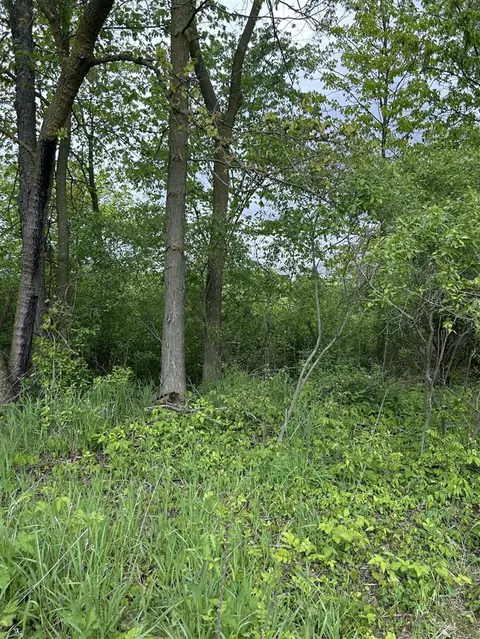 Other - 8895 S Airport, Dewitt, MI 48820 photo 12 of 18