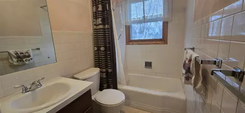 324 Madison, Bellevue, MI 49021 photo 14