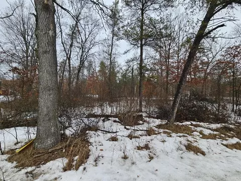 2148 Us 10, Idlewild, MI 49642 photo 2