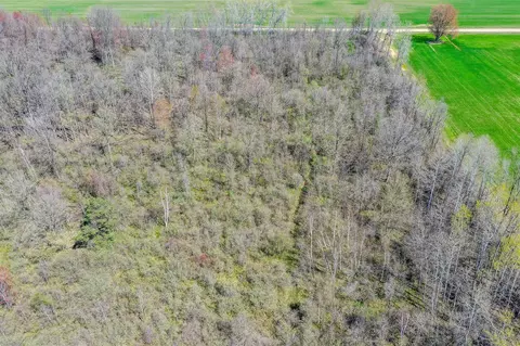 lot B Ubly Rd, Update, MI 48472 photo 4