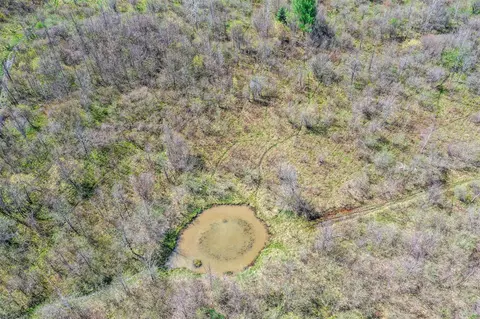 lot B Ubly Rd, Update, MI 48472 photo 5