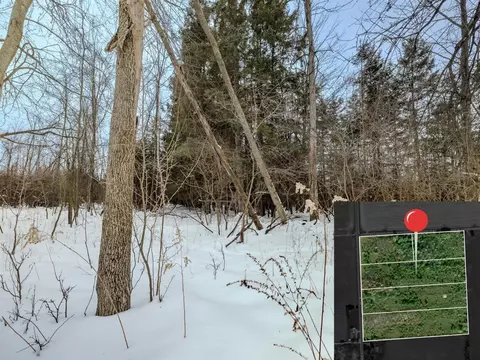 lot C Ubly Rd, Update, MI 48472 photo 10