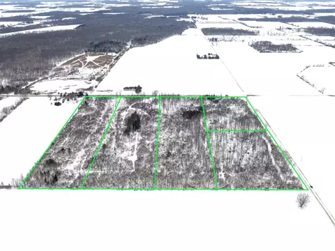 lot C Ubly Rd, Update, MI 48472 photo 3