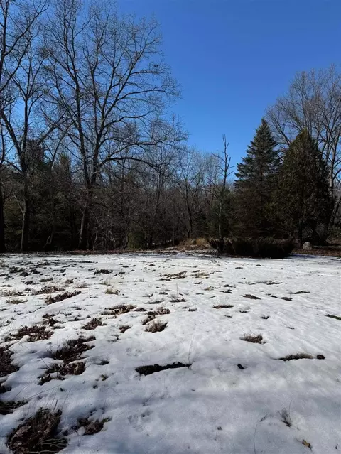 16599 Sorensen, Gowen, MI 49326