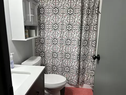 5310 Elizabeth, Colon, MI 49040 photo 34