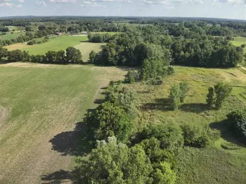 V/l Dewey, Munith, MI 49259 photo 9