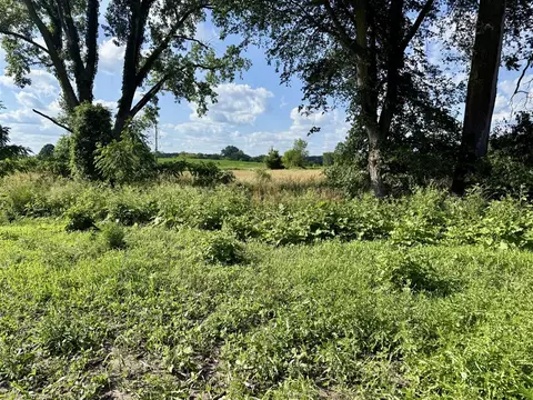V/l Dewey, Munith, MI 49259 photo 18