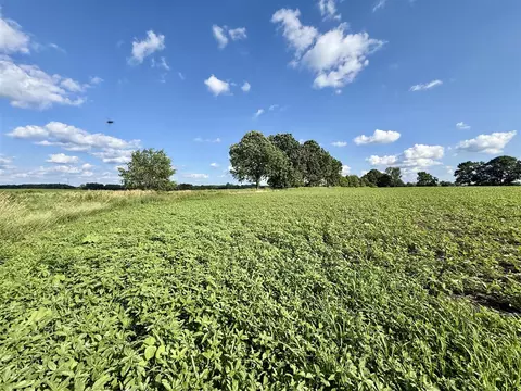 V/l Dewey, Munith, MI 49259 photo 26