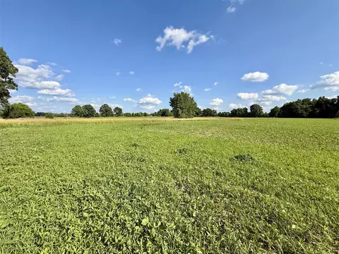 V/l Dewey, Munith, MI 49259 photo 21