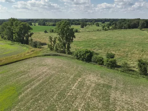 V/l Dewey, Munith, MI 49259 photo 5