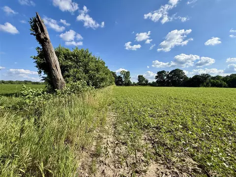 V/l Dewey, Munith, MI 49259 photo 30