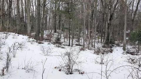 Hill V/l 10 Acres, Manistee, MI 49660