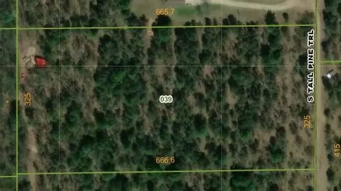 Vl S Tall Pine, Newaygo, MI 49337