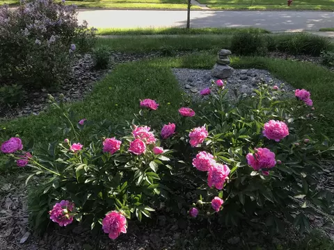 Exterior - 809 Loyola, Ann Arbor, MI 48103 photo 12 of 12