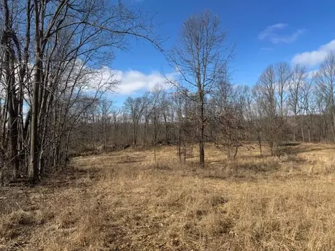 6011 Moore, Tekonsha, MI 49092 photo 10