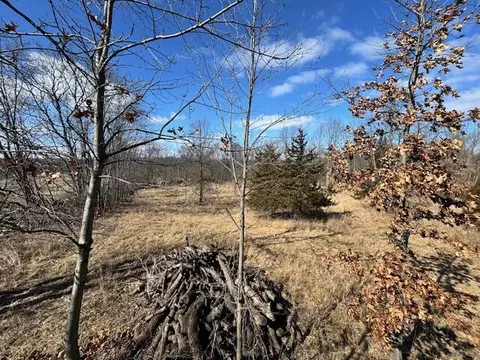 6011 Moore, Tekonsha, MI 49092 photo 13
