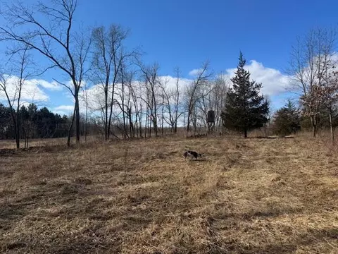6011 Moore, Tekonsha, MI 49092 photo 7