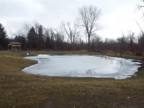Other - 14435 Vischer, Addison, MI 49220 photo 9 of 10