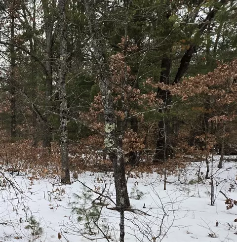 00 E 42 Nd, Idlewild, MI 49642