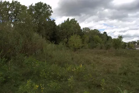 3847 Lake Vis, Dexter, MI 48130
