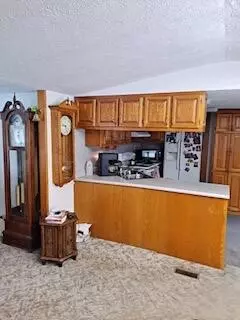 Kitchen - 11402 M-60, Three Rivers, MI 49093 photo 3 of 3