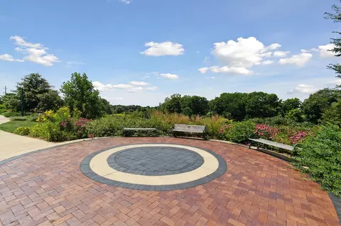 Exterior - 403 Baker, Dexter, MI 48130 photo 10 of 13